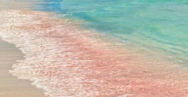 From Rethymno: Trip to Balos Lagoon and Elafonisi Pink Beach - Balos Lagoon Highlights