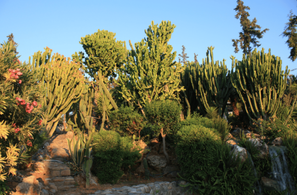 From Rethymno: Waterpark Adventure With Bus Transfer - Costs and Inclusions