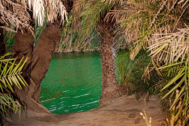 From Rethymnon Area: Private Trip to Preveli & Damnoni Beach - Beaches and Landscapes