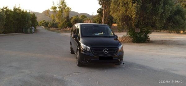 From Rethymnon Area: Private Trip to Preveli & Damnoni Beach - Pricing and Availability