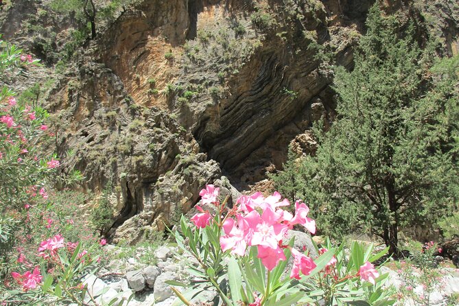 From Rethymnon Areas: Private Trip to Samaria Gorge Full-Day - The Sum Up