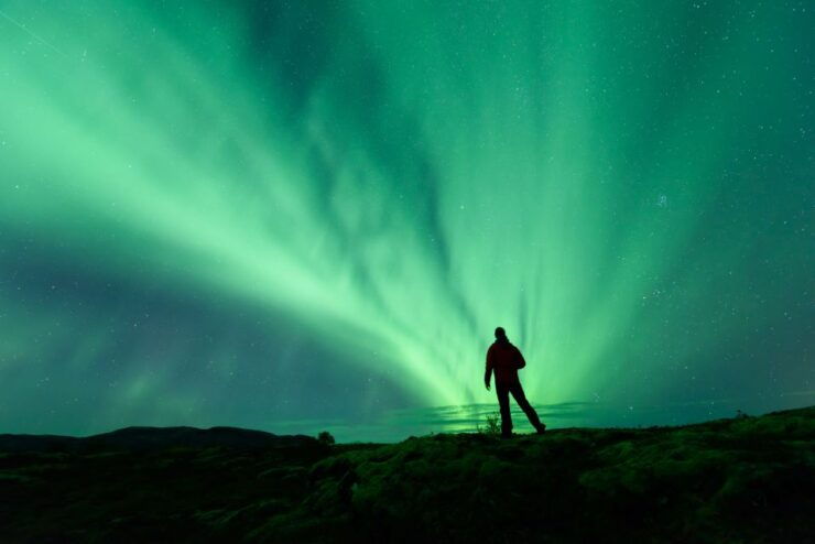 From Reykjavik: Blue Lagoon and Northern Lights Tour - Experience Overview