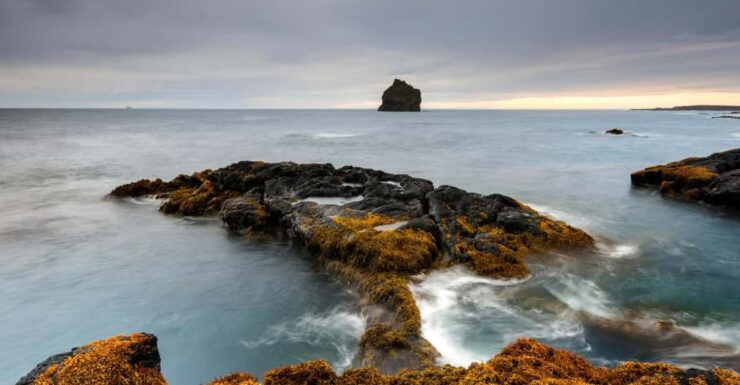 From Reykjavik: Blue Lagoon and Reykjanes Peninsula Tour - Good To Know