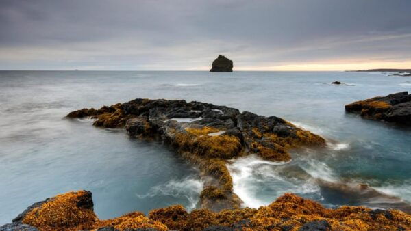 From Reykjavik: Blue Lagoon and Reykjanes Peninsula Tour - Frequently Asked Questions