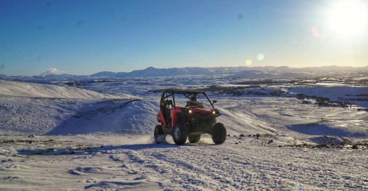From Reykjavik: Buggy & Whale Watching Adventure - Activity Details