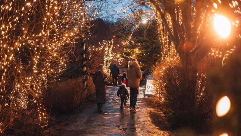 From Reykjavík: Christmas Market and Yule Lads Driving Tour - FAQ