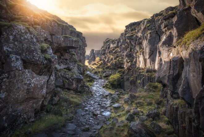 From Reykjavik: Golden Circle Tour - Customer Reviews and Ratings