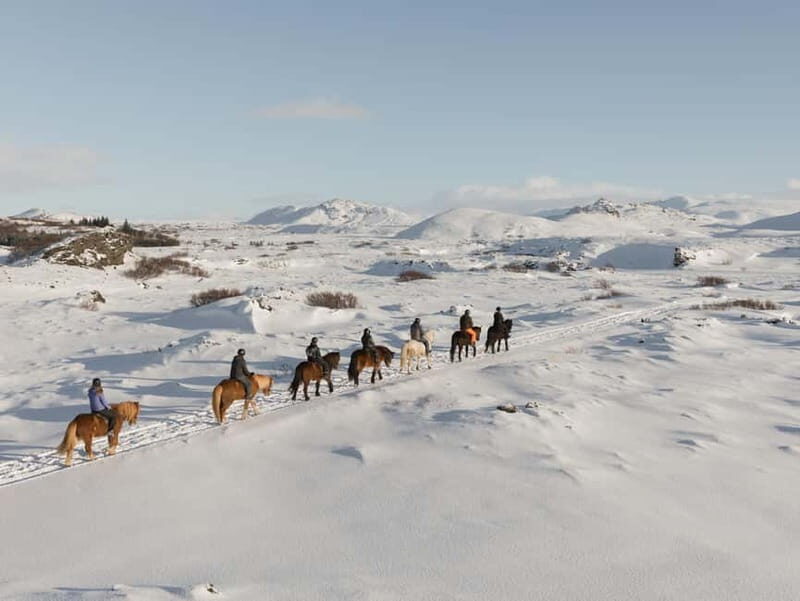 From Reykjavík: Icelandic Horse Riding Tour in Lava Fields - Good To Know