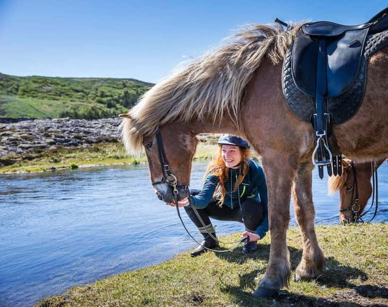 From Reykjavík: Icelandic Horse Riding Tour in Lava Fields - The Value of This Horse Riding Tour