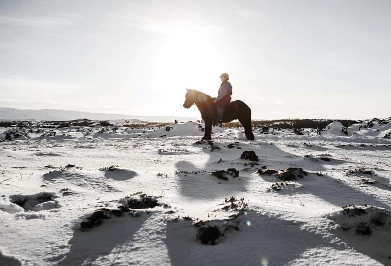From Reykjavík: Icelandic Horse Riding Tour in Lava Fields - Authentic Experiences and Genuine Insights from Reviews