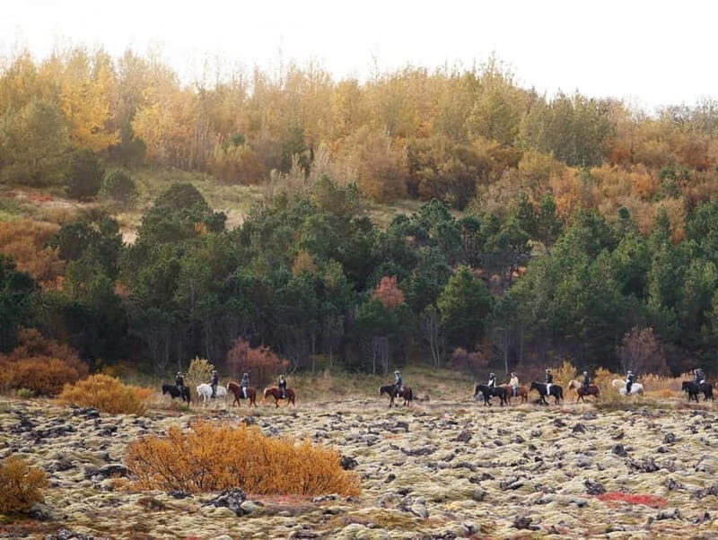 From Reykjavík: Icelandic Horse Riding Tour in Lava Fields - Who Should Consider This Tour?