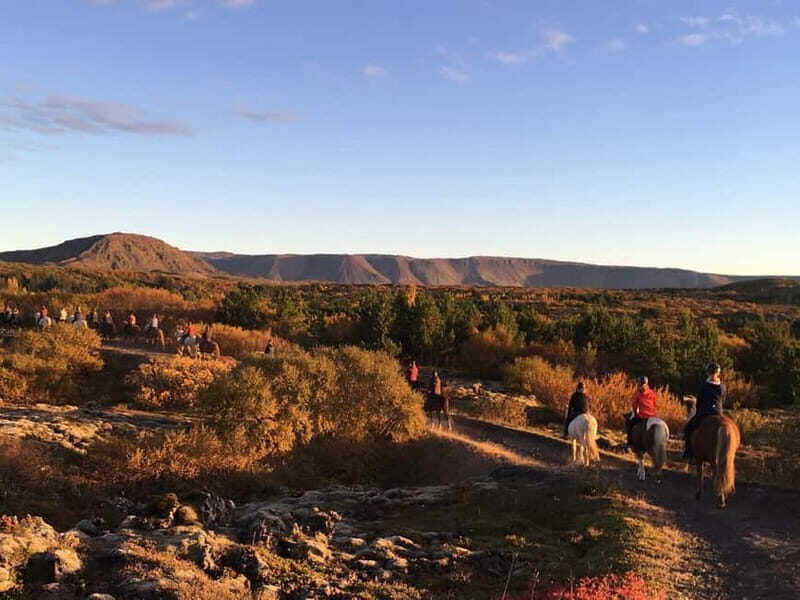 From Reykjavík: Icelandic Horse Riding Tour in Lava Fields - FAQs