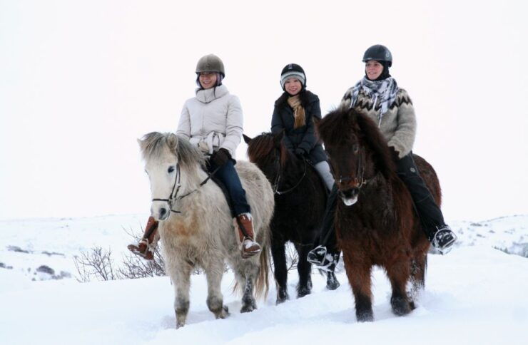 From Reykjavík: Icelandic Horse Riding Tour in Lava Fields - Activity Details
