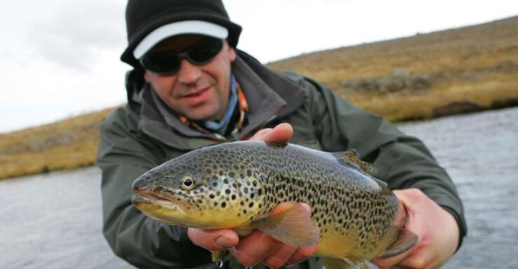 From Reykjavik: Lake and River Fishing Tour - Activity Information