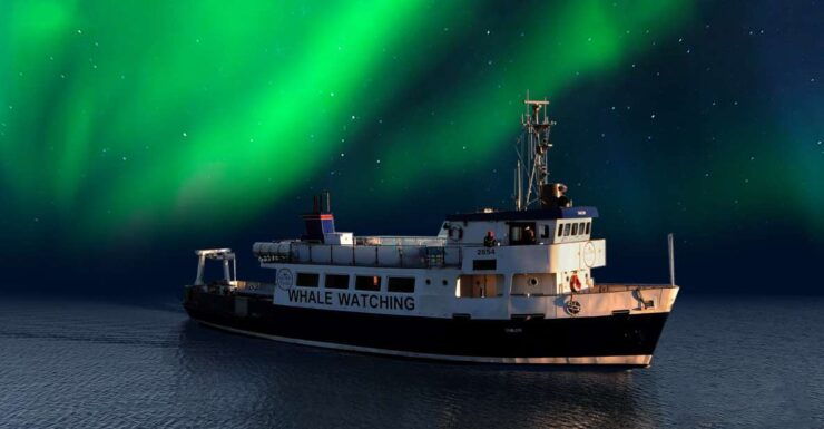 From Reykjavik: Northern Lights Sightseeing Cruise - Activity Details