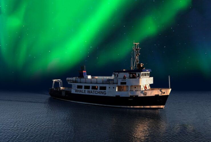 From Reykjavik: Northern Lights Sightseeing Cruise - Booking Information