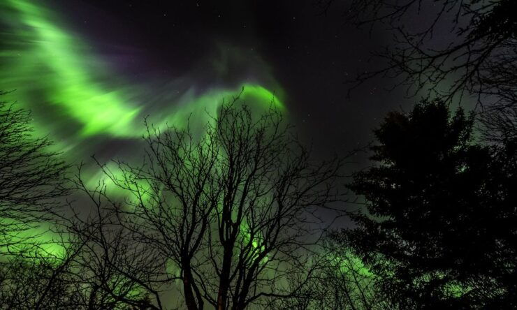 From Reykjavik: Northern Lights & Stars Bus Tour - Tour Information and Booking Details
