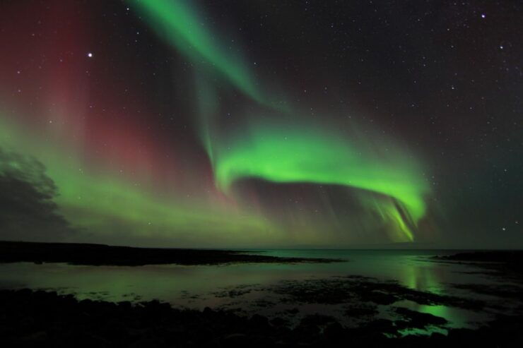 From Reykjavik: Northern Lights Tour - Booking Information