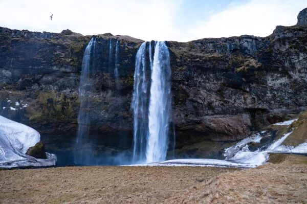 From Reykjavik Port: Private South Coast Tour - Accessibility Considerations