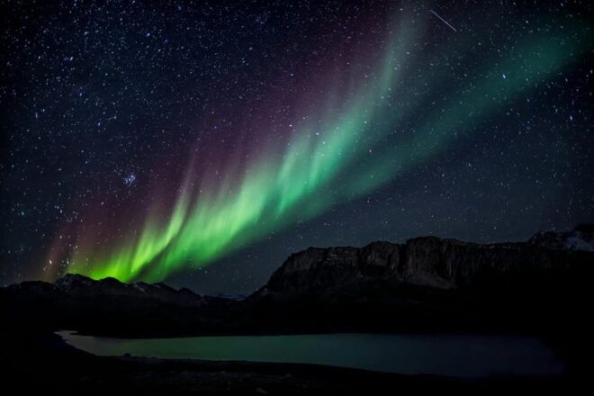 From Reykjavík: Private Northern Lights Minibus Tour - Sightings Guarantee