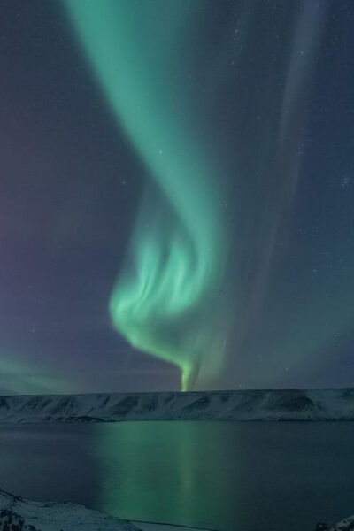From Reykjavík: Private Northern Lights Minibus Tour - Customer Feedback
