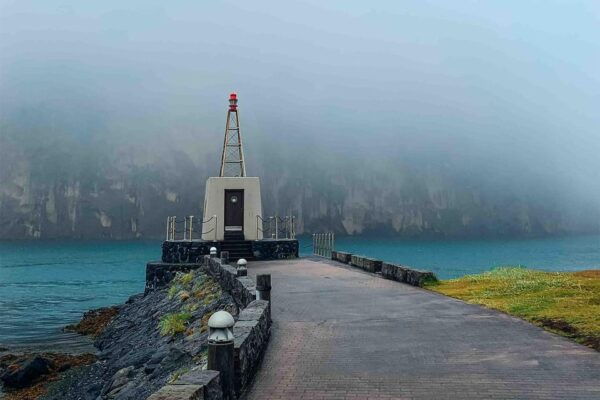 From Reykjavik: Puffin and Volcano Tour in Westman Islands - Customer Reviews
