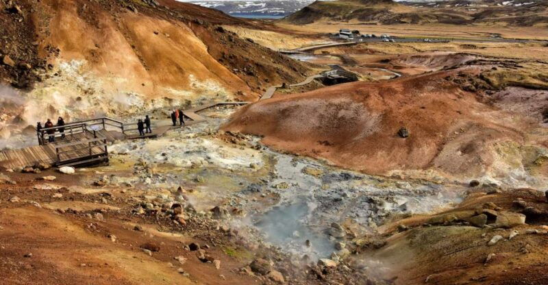 From Reykjavik: Reykjanes Geopark Tour & Airport Transfer - Who Should Take This Tour?