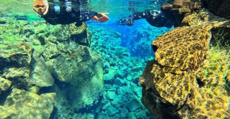 From Reykjavík: Silfra Snorkeling with free photos - Final Thoughts