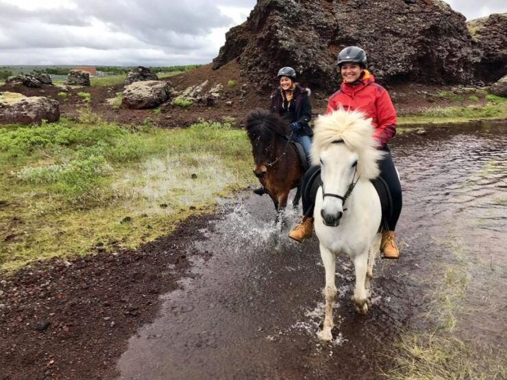 From Reykjavik: Small-Group Horse Riding Tour With Pickup - Experience Highlights