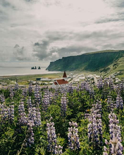 From Reykjavík: South Coast Highlights Day Tour - Why This Tour Is a Great Value