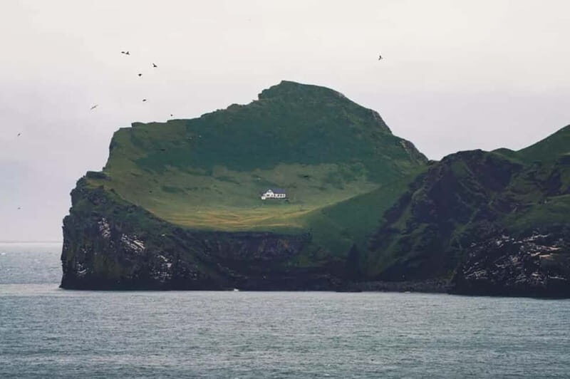 From Reykjavik: Vestmannaeyjar Islands Day Trip - Why You’ll Love the Views and Wildlife