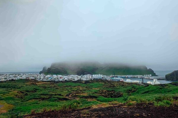 From Reykjavik: Vestmannaeyjar Islands, Puffins &Volcanoes - Meeting Point and Pickup