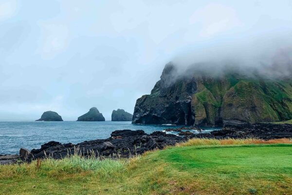 From Reykjavik: Vestmannaeyjar Islands, Puffins &Volcanoes - Participation and Inclusions