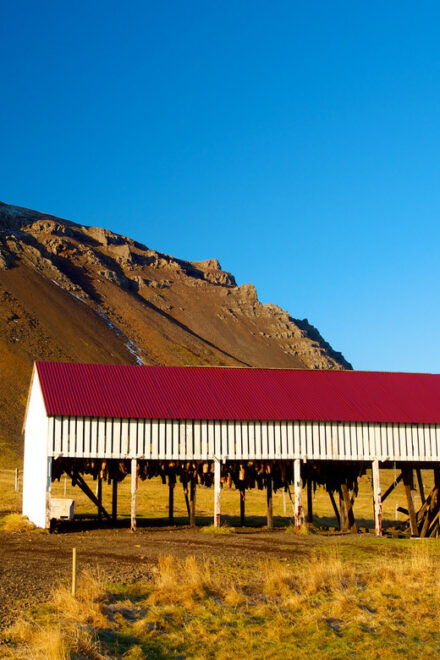 From Reykjavik: Wonders of Snaefellsnes Private Tour - Exploring Fishing Villages