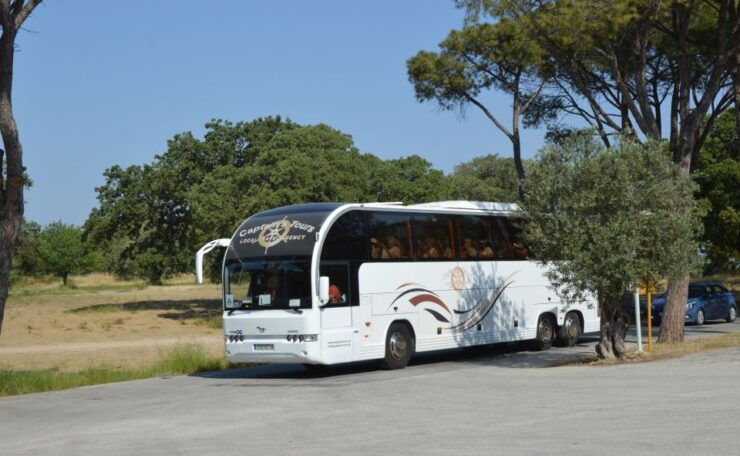 From Rhodes: Bus Tour to Lindos and the Seven Springs - Good To Know