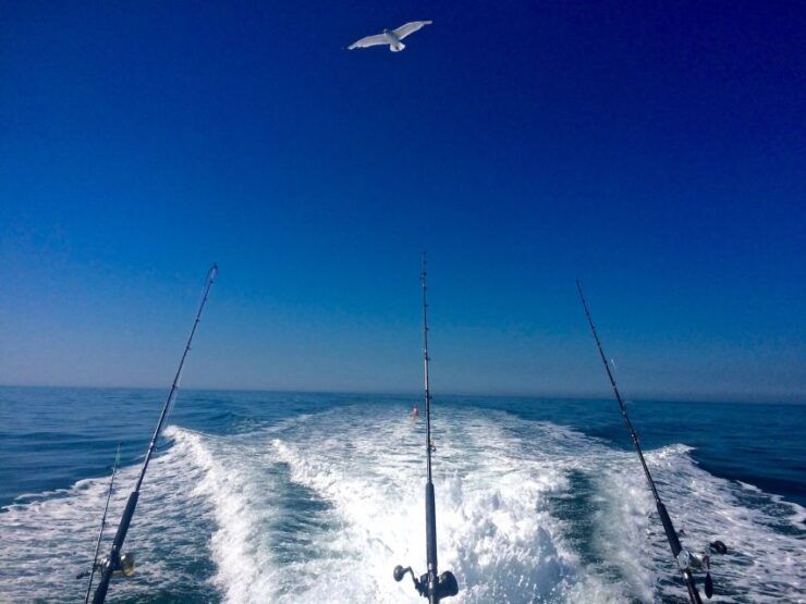 From Rhodes: Half or Full-Day Fishing in The Mediterranean - Experience Highlights