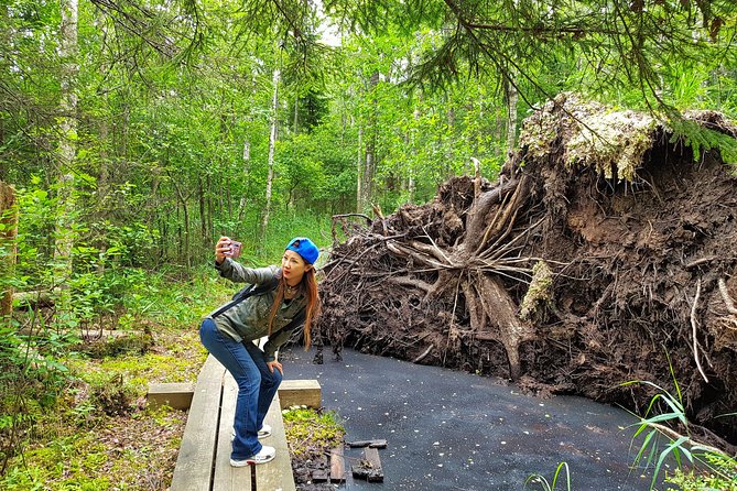 From Riga: Best of Kemeri National Park In One Day - Booking Details