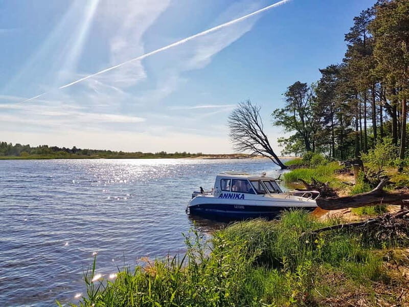 From Riga: Four Natural Ecosystems In One Hike - Authentic Experiences and Real Reviews