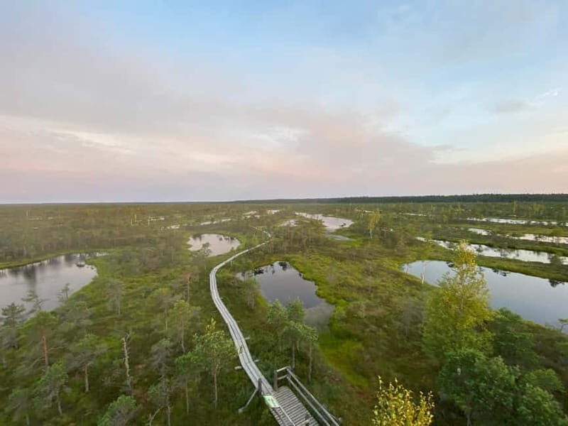 From Riga: Kemeri Bog & Seaside Jurmala - Discovering Kemeri Bog and the Wetlands