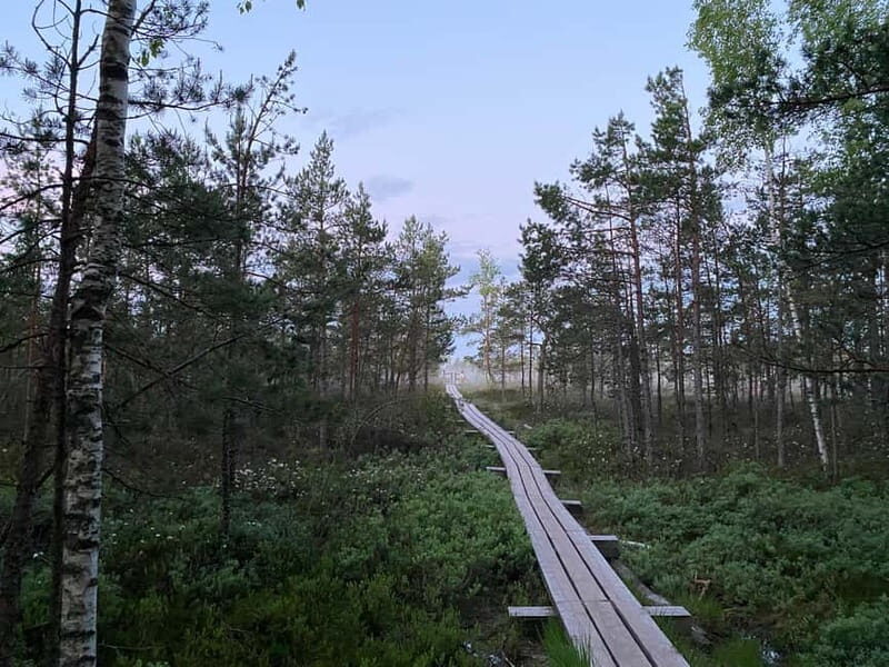 From Riga: Kemeri Bog & Seaside Jurmala - Jūrmala: Latvia’s Seaside Gem