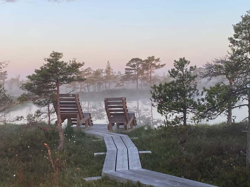 From Riga: Kemeri Bog & Seaside Jurmala - The Practicalities: What to Expect