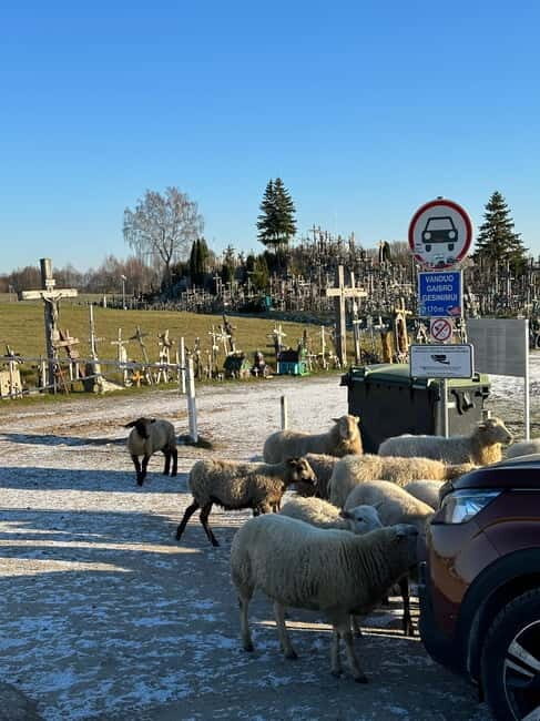 From Riga: Trip to the Hill of Crosses and Pearls of Jelgava - FAQ