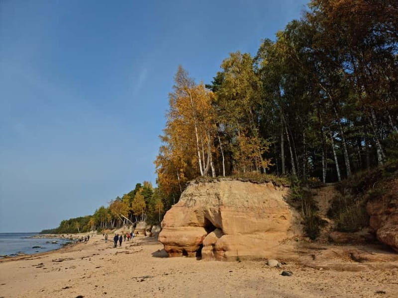From Riga: Vidzeme Coast Half-Day Trip with Lunch - A Practical Breakdown of What Youll Experience