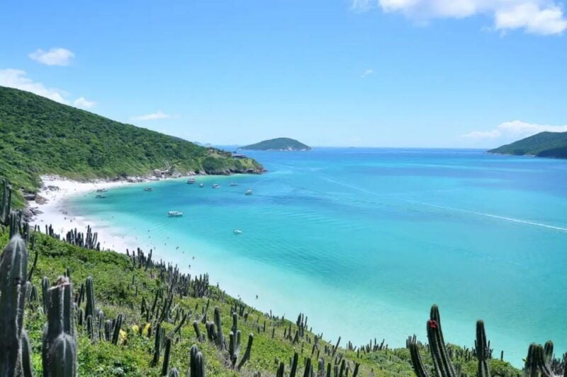 From Rio de Janeiro: Arraial do Cabo Island Day Trip - The Value of this Tour