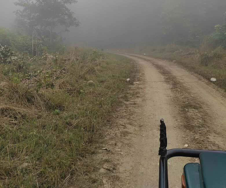 From Rishikesh: Rajaji National Park Half-Day Tour - Frequently Asked Questions