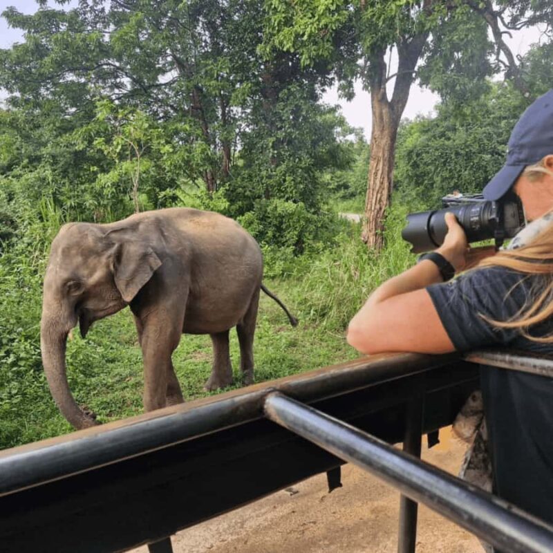 From Riu Hotel: Udawalawe National Park Private Day Trip - Final Thoughts