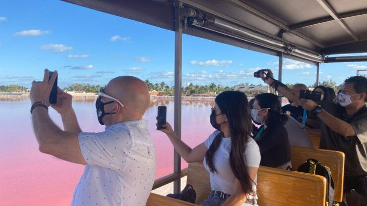 From Riviera: Las Coloradas - Safari & Salt Mining Day Trip - Booking Details