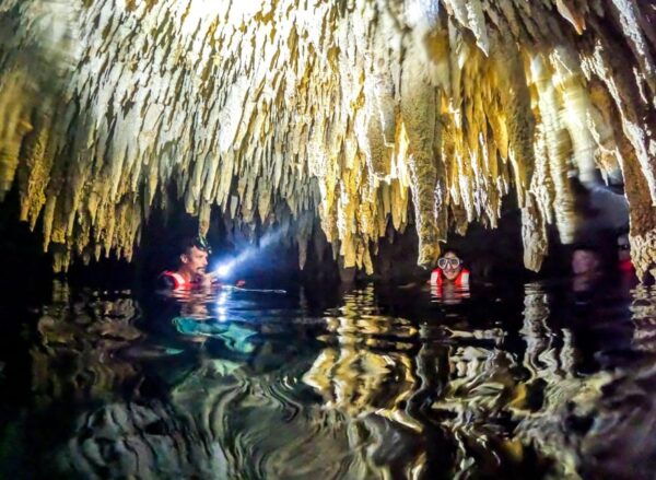 From Riviera Maya: Cenote Cave Tour and Turtles Encounter - Cancellation Policy