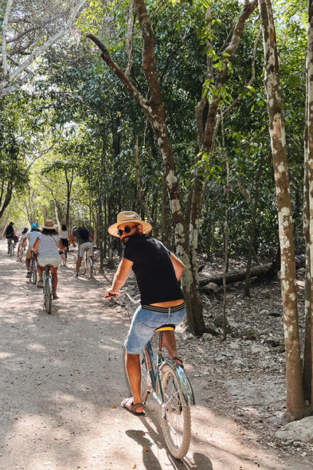From Riviera Maya: Coba, Punta Laguna and Cenote Day Trip - Included Features