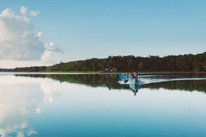From Riviera Maya: Coba, Punta Laguna and Cenote Day Trip - Wildlife Viewing